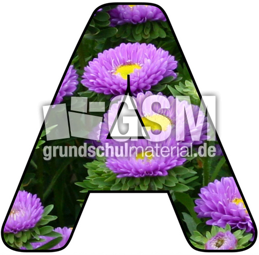 Blumenbuchstabe-A.jpg